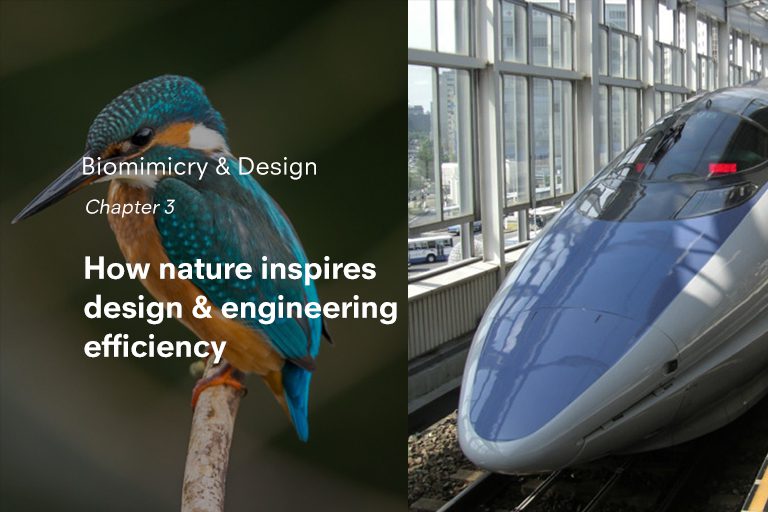 How nature inspires design & Engineering efficiency